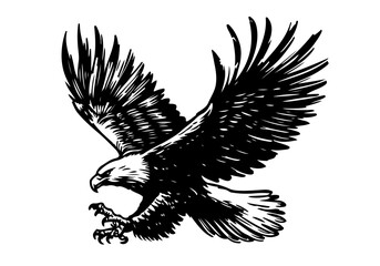 Bald Eagle hand drawn sketch vector illustration