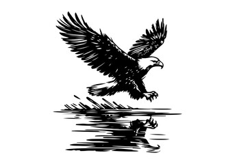 Bald Eagle hand drawn sketch vector illustration