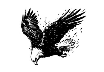 Bald Eagle hand drawn sketch vector illustration