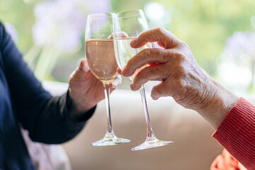 Close-Up of Senior Couple Toasting with Champagne