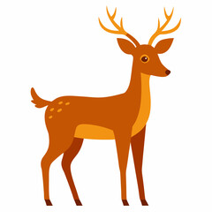 Deer on white background 