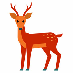 Deer on white background 