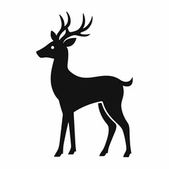 Deer on white background 