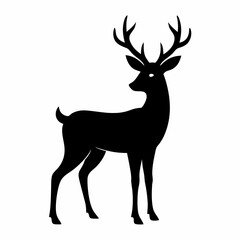 Deer on white background 
