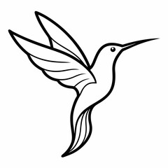 Obraz premium Monoline hummingbird black line art icon on white background.
