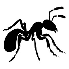 black ant vector