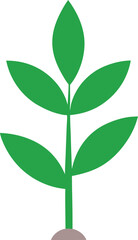 green tree with leaves