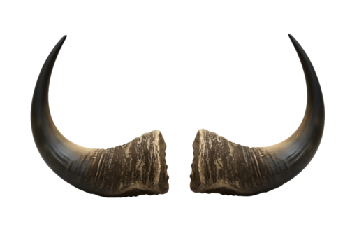 Majestic bull horns isolated on black background perfect for design projects needing power nature or wild animal elements a strong symbol of strength and masculinity