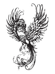 Obraz premium drawing of phoenix bird vector