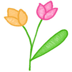 Simple Tulip Pair Illustration in Yellow and Pink