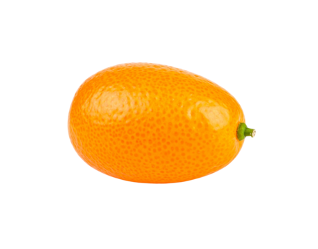 Ripe Kumquat Fruit Oval Shape Bright Orange Peel Fine Texture. - Powered by Adobe