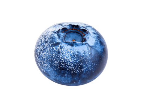 Single FrostCovered Blueberry with Visible Bloom Detailed Macro Shot.