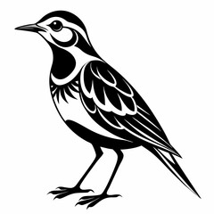 Obraz premium Eastern Meadowlark silhouette vector black on white background