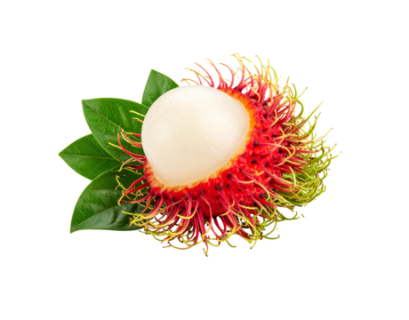 Partially Peeled Rambutan Fruit with Green Leaves Showing White Flesh and Red Rind with Hairy Texture.