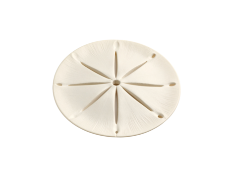 Creamy White Sand Dollar with Intricate Carved Detailing and Central Perforation.