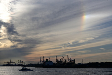 Fototapeta premium 大阪湾の夕景