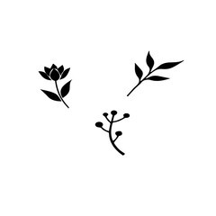 foliage season twig vector