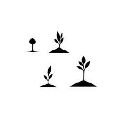 flower illustration growth sprout vector
