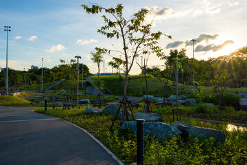 Obraz premium Walk and run asphalt road in city public park