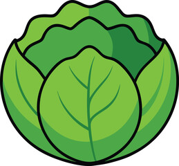 Cartoon illustration of a fresh green cabbage head