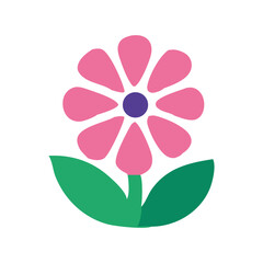 pink flower isolated on white