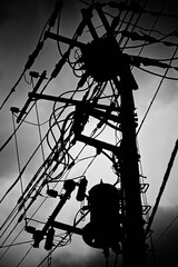 電柱のモノクロイメージ