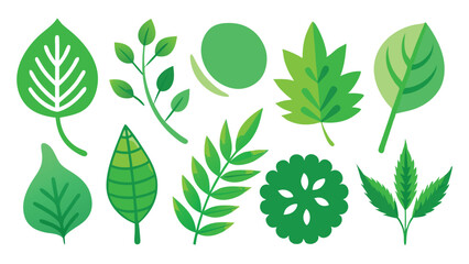 collection of green leaves