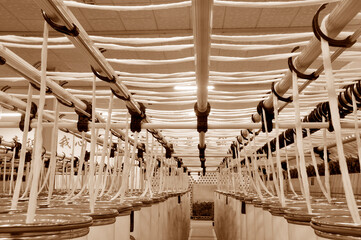 Cotton group in spinning production line factory