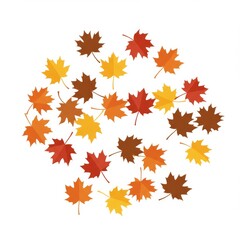 Red Orange Yellow Brown Maple Leaves on White Background