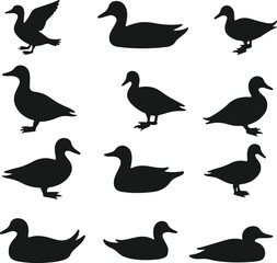 Collection of eighteen black silhouettes of ducks in various poses and sizes
