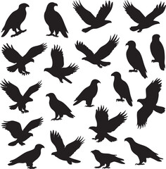 Various silhouettes of birds in flight and perched on a plain background showcasing different species
