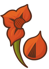 vector illustration of an orange flower with falling flower petals