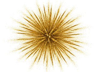 黄金の輝き 華麗に舞う きらめく花火