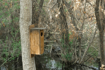 bird house in the forest