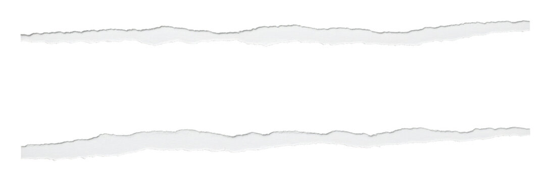 白く波打つ紙の切れ端 二本並行