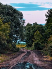 road in the mountains