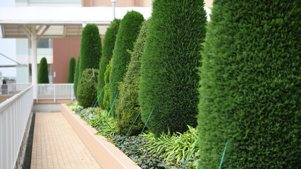 植え込み　エクステリア