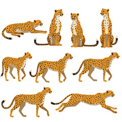 Illustration features nine cartoon cheetahs in different poses on a white background