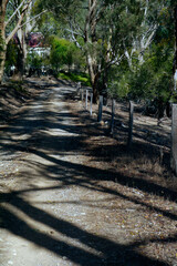 Oasis and Cottage, Glenlyon Australia 2015