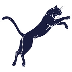  Soaring Eagle Silhoue