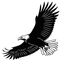  Soaring Eagle Silhouette
