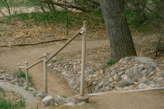 stairs to the forest