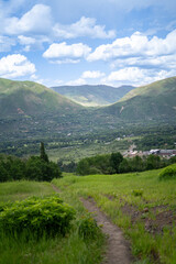 Wildflowers in Bloom Across Majestic Mountain Landscape on a Summer Day