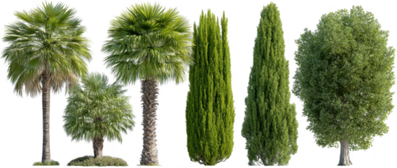 Variety Trees Garden Scene