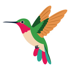 Obraz premium Colorful hummingbird vector art illustration