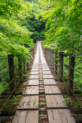 Obraz premium 花貫渓谷汐見滝吊り橋
