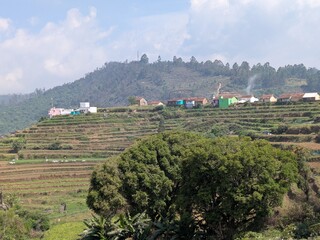 Kodaikanal hills 