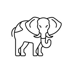 Fototapeta premium elephant