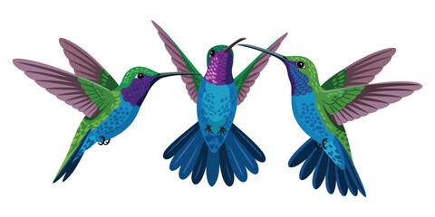 Fototapeta premium A digital illustration of three hummingbirds in flight against a pure white background