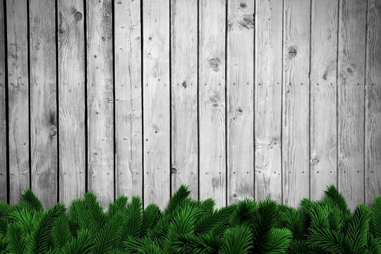 Fototapeta Fir branches on wooden planks